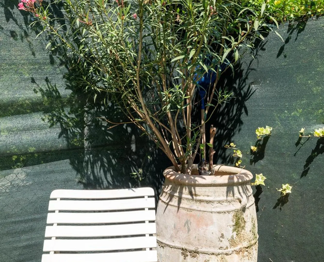 Residenza Gastone Rossi - Gastone Rossi Apartment Bologna